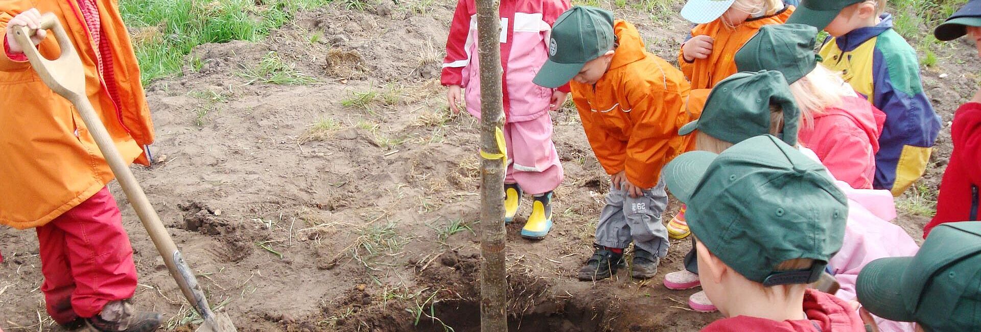 Initiative Pro Klima pflanzt 43.300 Bäume in Schleswig-Holstein Initiative Pro Klima pflanzt 43.300 Bäume in Schleswig-Holstein
