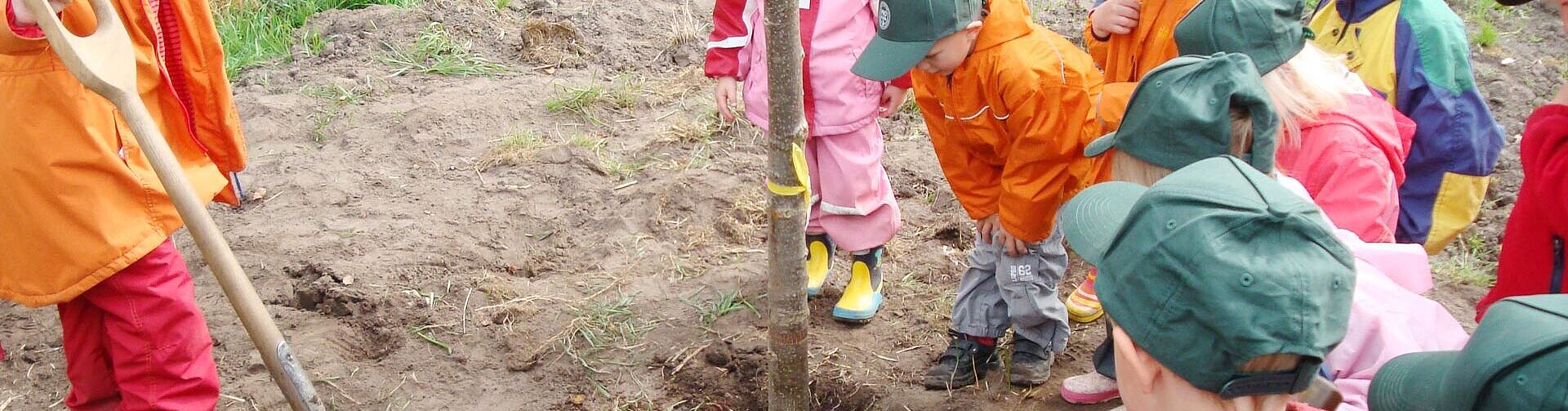 Initiative Pro Klima pflanzt 43.300 Bäume in Schleswig-Holstein Initiative Pro Klima pflanzt 43.300 Bäume in Schleswig-Holstein
