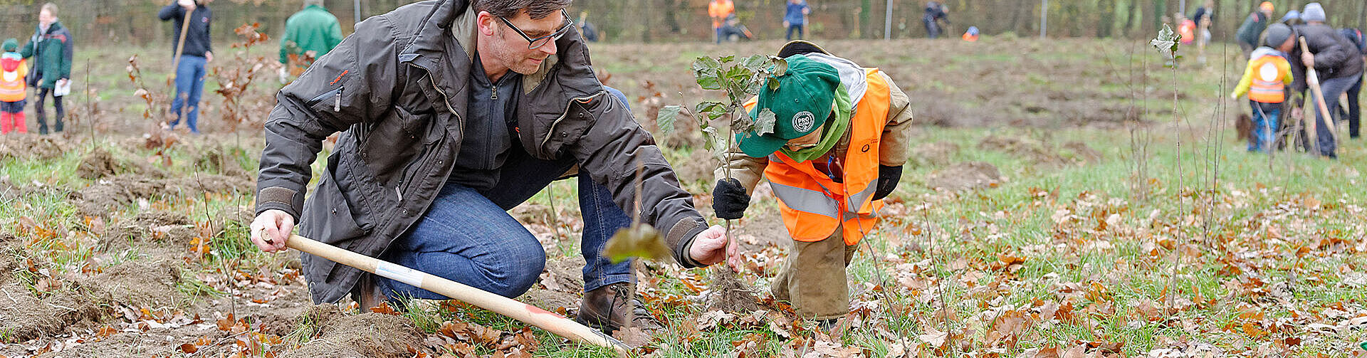 Initiative Pro Klima: 10.000 neue Bäume für Schleswig-Holstein Initiative Pro Klima: 10.000 neue Bäume für Schleswig-Holstein